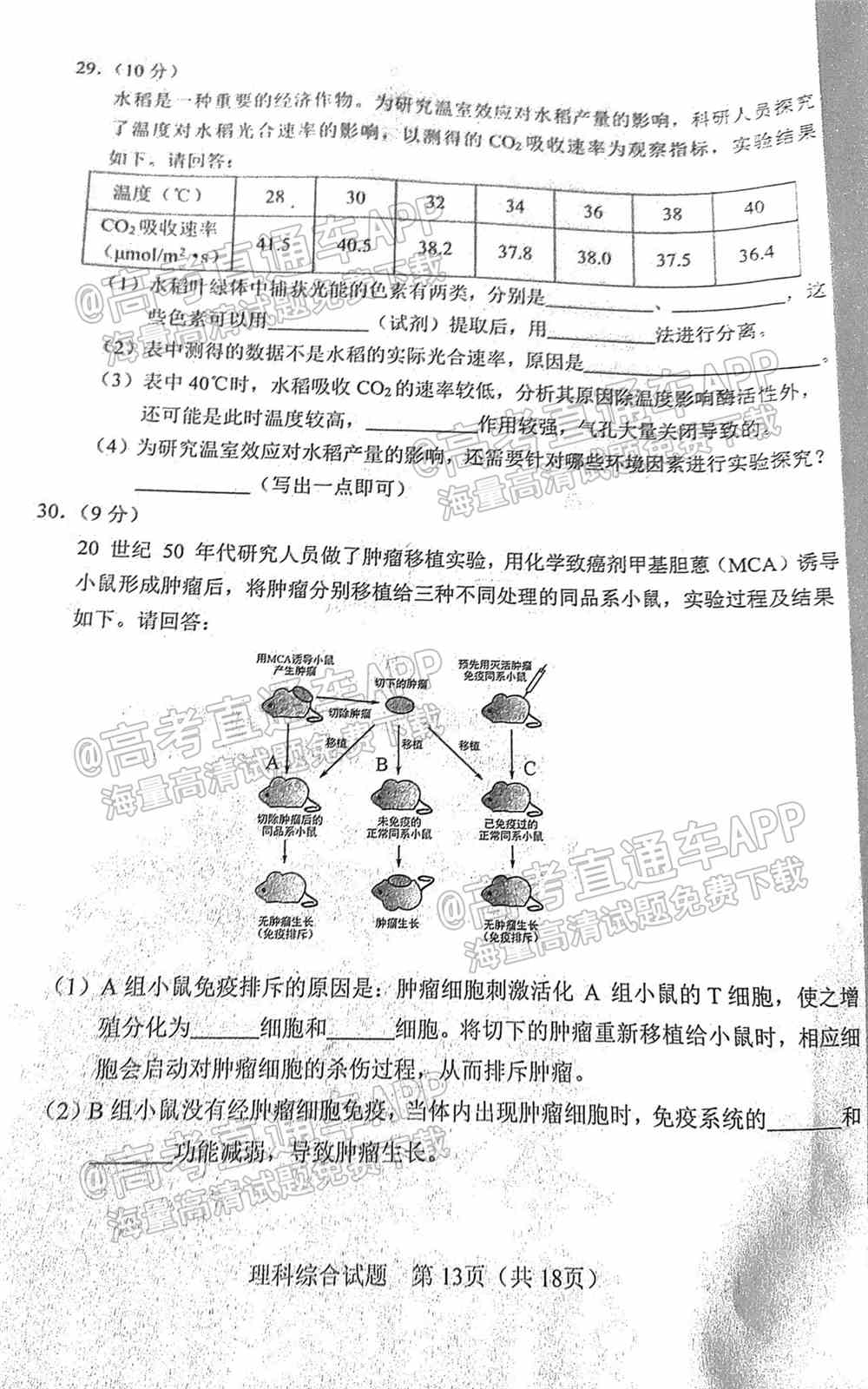 2022长春二模各科试卷及答案-长春市普通高中2022届高三质量监测二答案