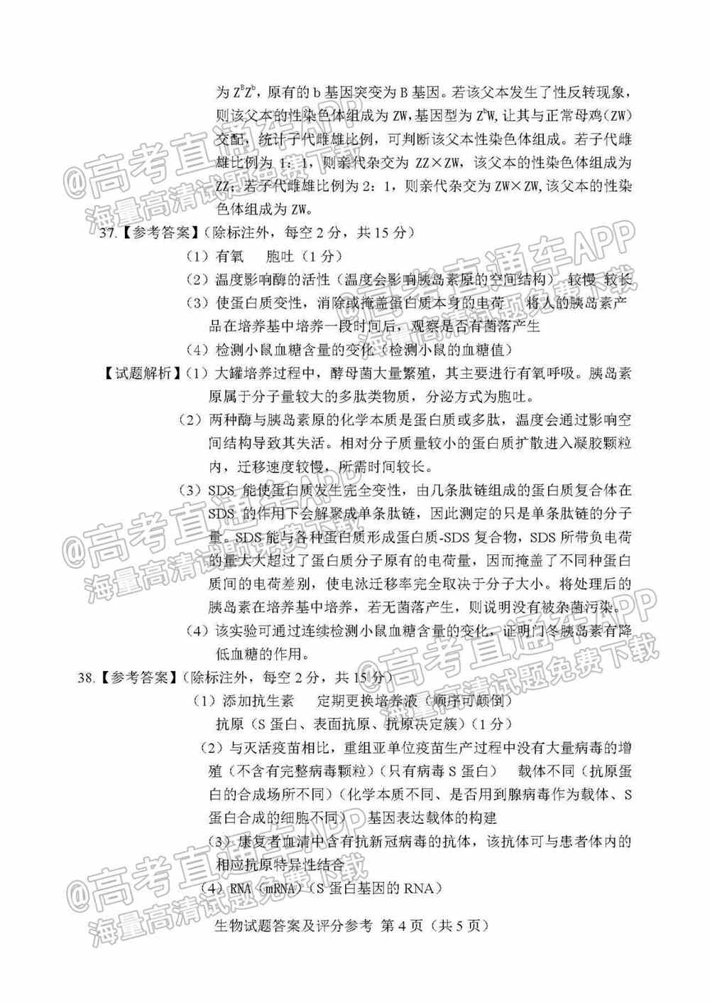 2022长春二模各科试卷及答案-长春市普通高中2022届高三质量监测二答案