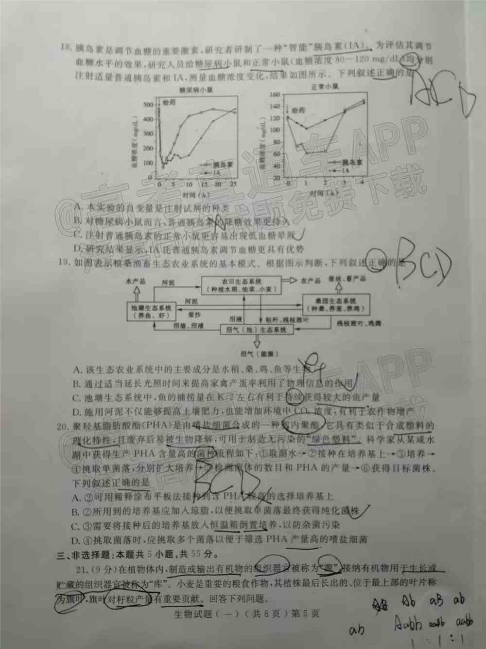 2022年聊城一模试题-2022聊城一模各科答案汇总（更新中）