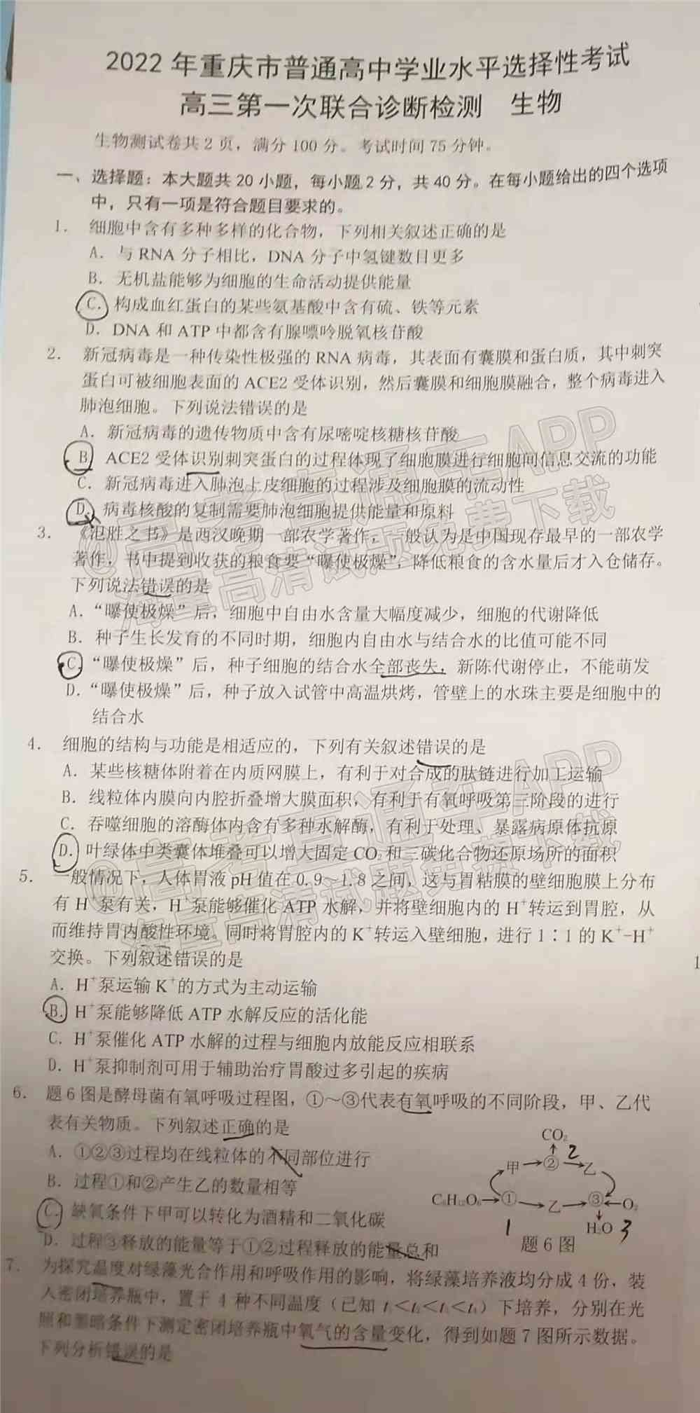 重庆康德卷一诊2022生物答案及试卷-重庆一诊2022生物答案