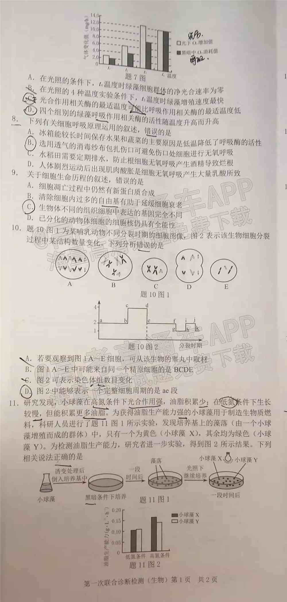 重庆康德卷一诊2022生物答案及试卷-重庆一诊2022生物答案