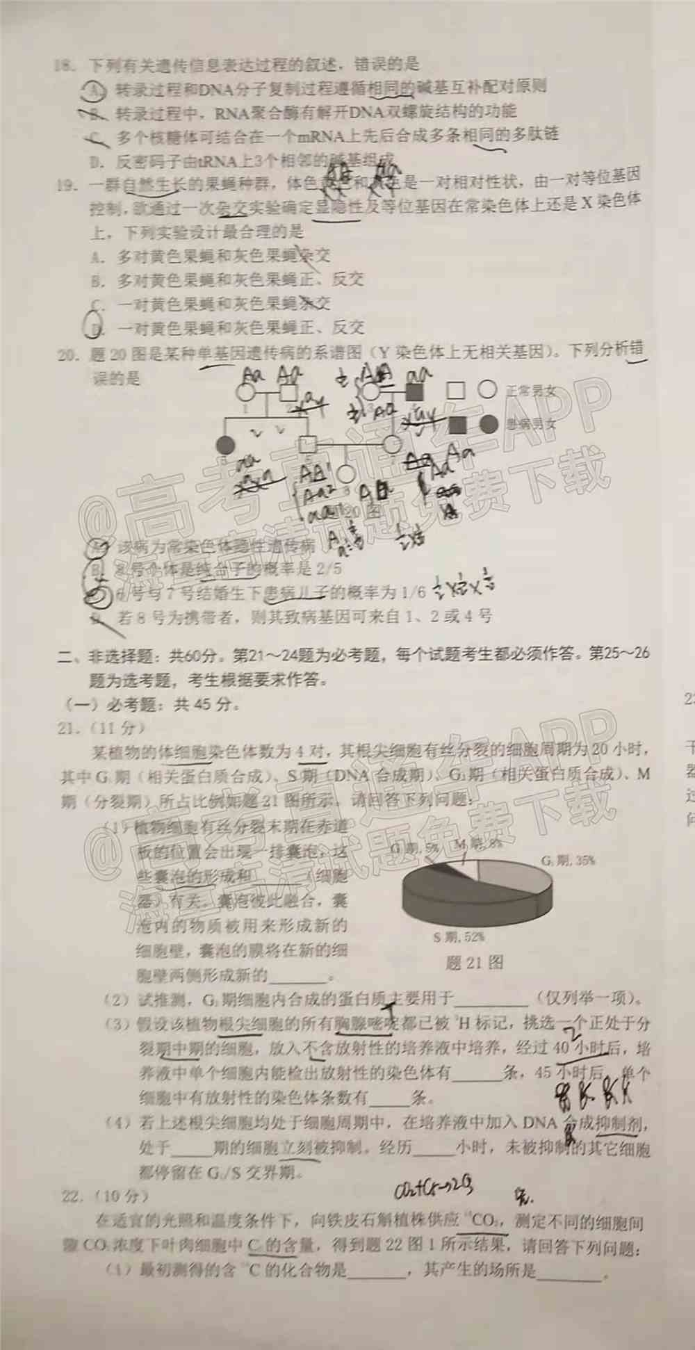 重庆康德卷一诊2022生物答案及试卷-重庆一诊2022生物答案