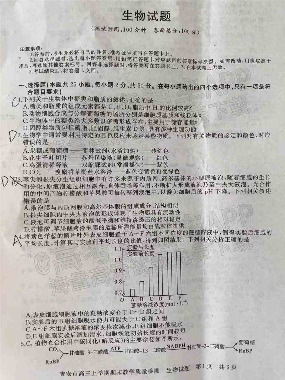 2022年吉安高三期末各科试题及参考答案汇总（考后更新）