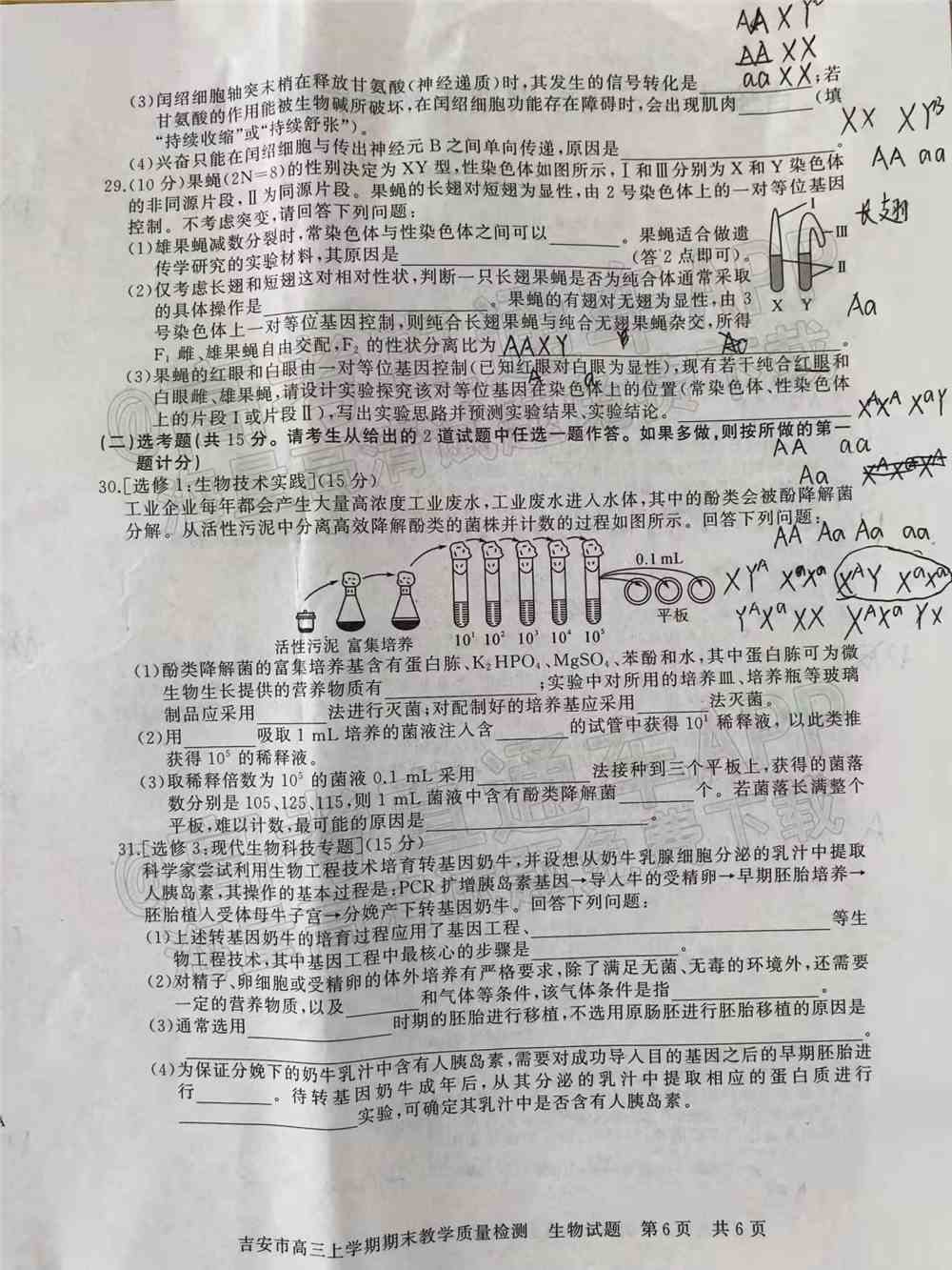 2022年吉安高三期末各科试题及参考答案汇总（考后更新）