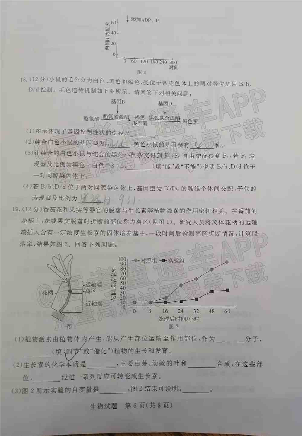 2022肇庆二模各科试题及答案汇总（已更新）