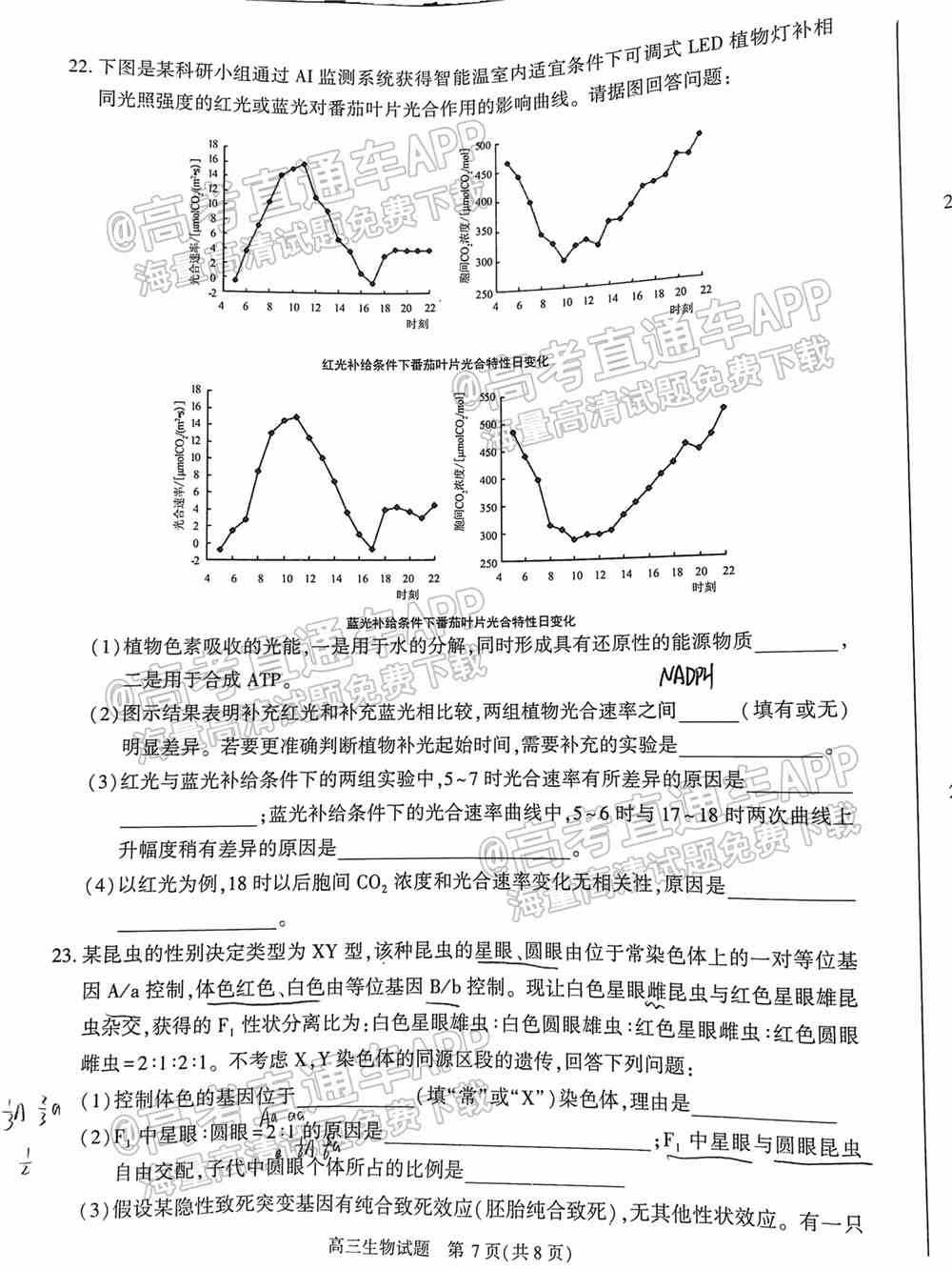 2022合肥一模各科试题及参考答案 汇总（全科目汇总）