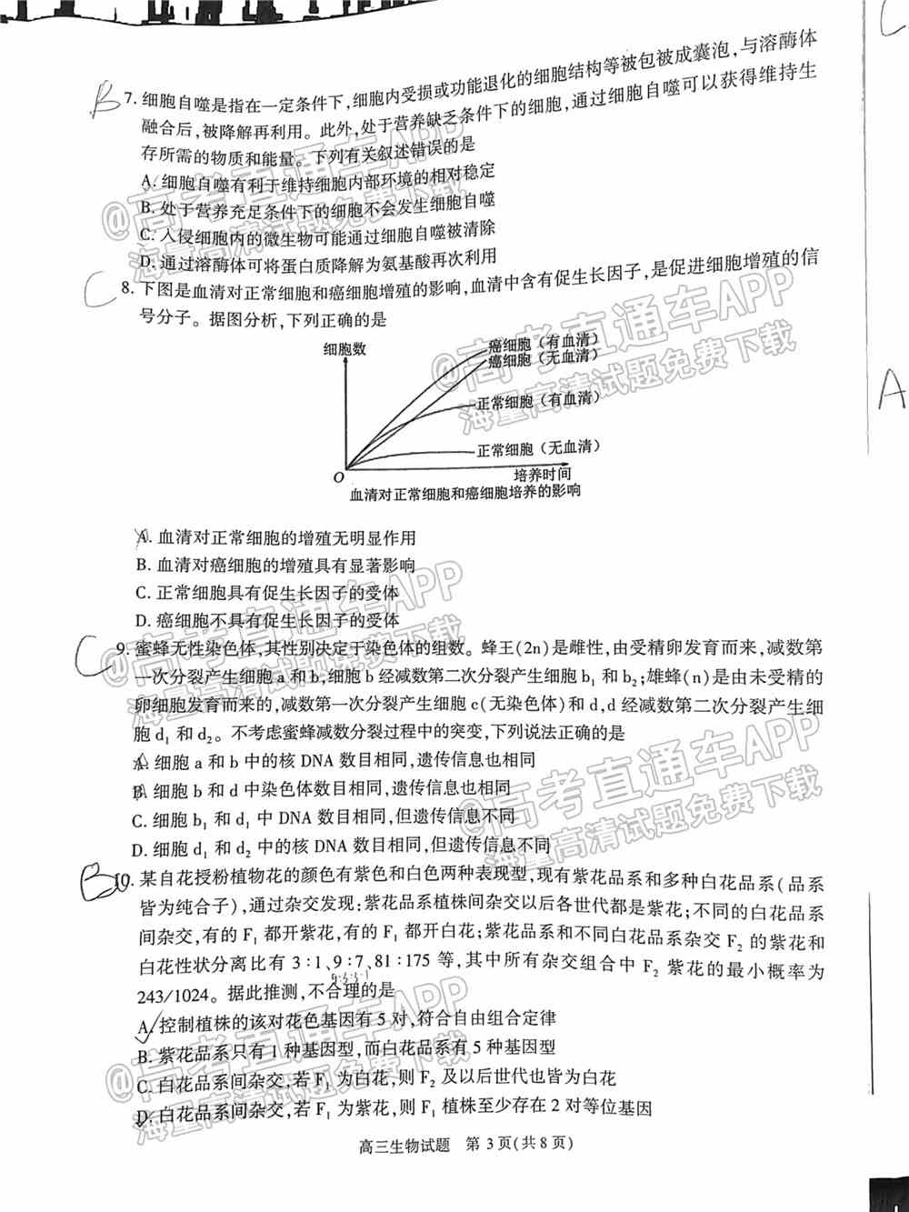 2022合肥一模各科试题及参考答案 汇总（全科目汇总）