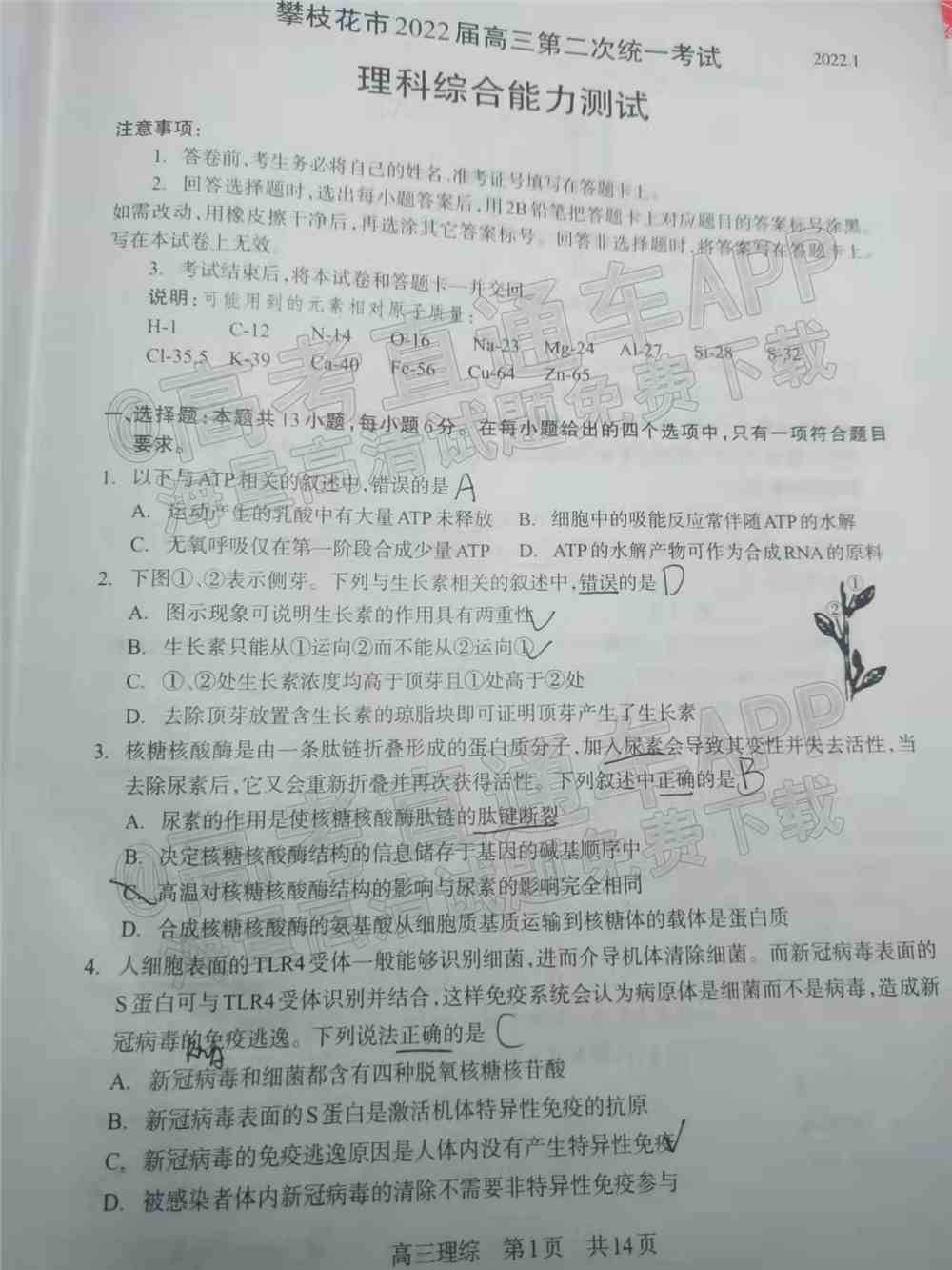 2022攀枝花二统各科试题及参考答案汇总（更新中！）