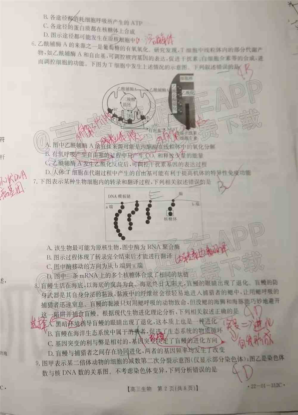 2022辽宁高三2月联考各科试题及参考答案汇总（答案全）
