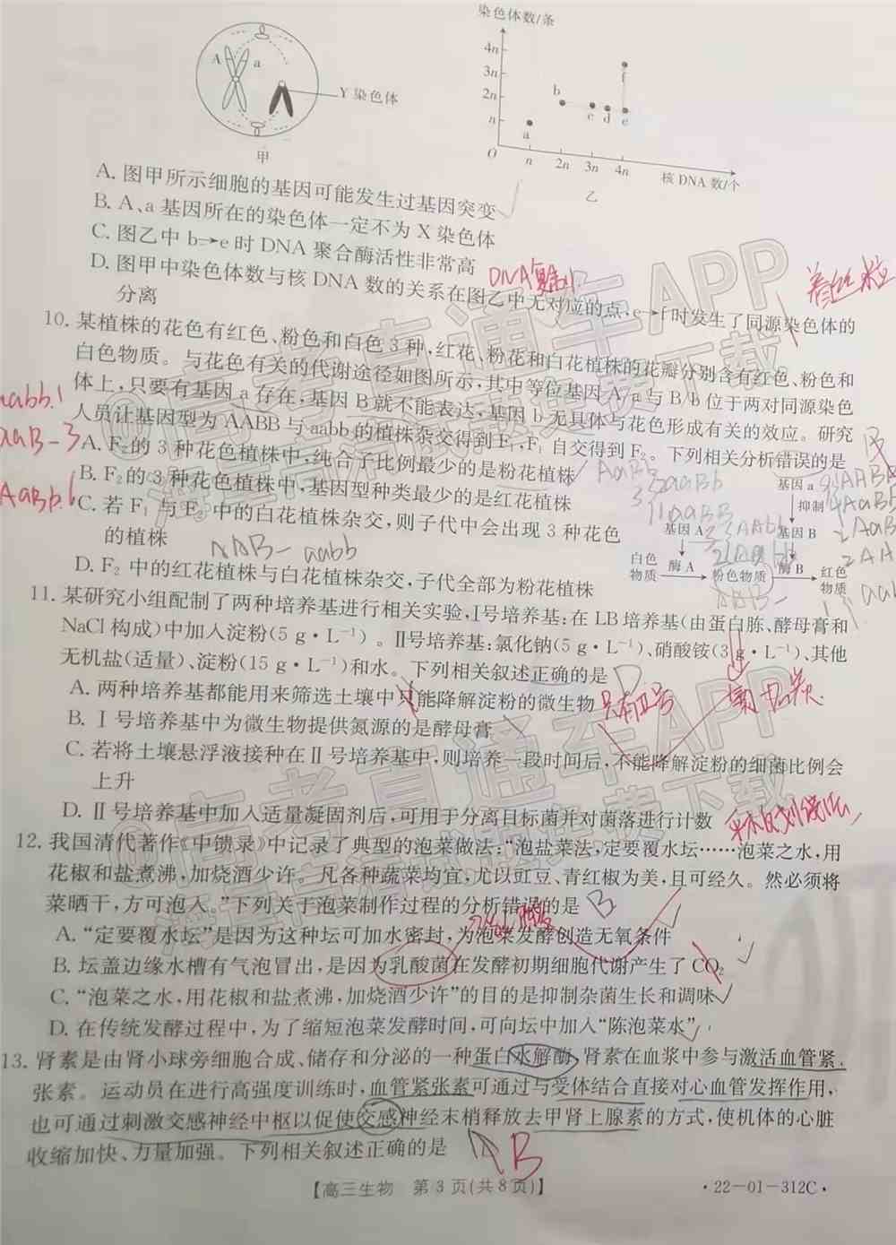 2022辽宁高三2月联考各科试题及参考答案汇总（答案全）