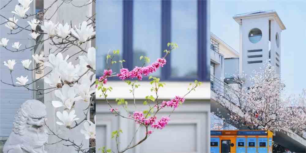 【2022强基计划招生简章】华东师范大学发布2022年强基计划招生简章