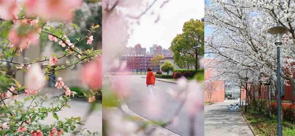 【2022强基计划招生简章】华东师范大学发布2022年强基计划招生简章