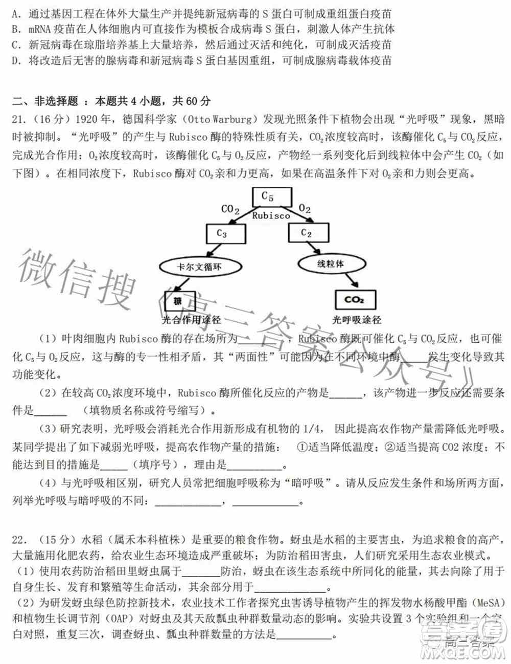 2022届高三湖北十一校第二次联考生物试题及答案