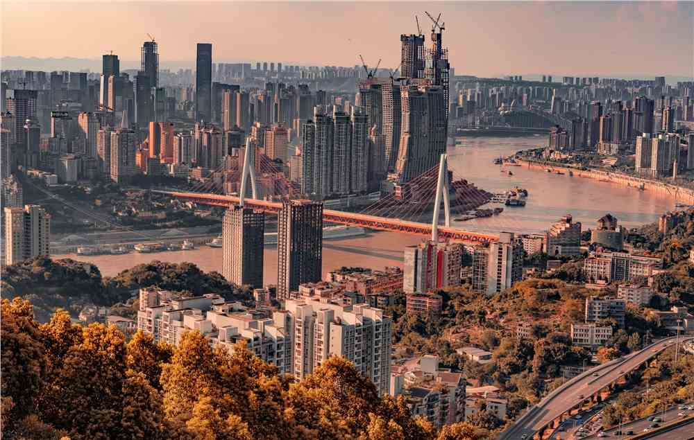 重庆二诊主城区各科答案详情2022重庆主城区二诊试题及解析汇总