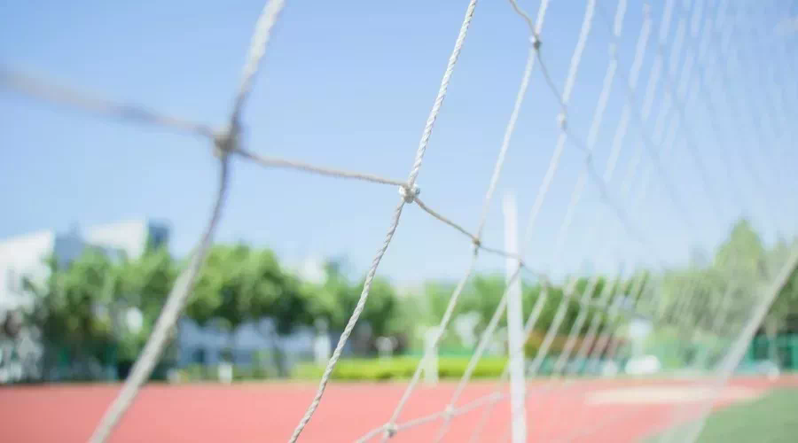 西南大学新高考选科要求-西南大学新高考重庆选科