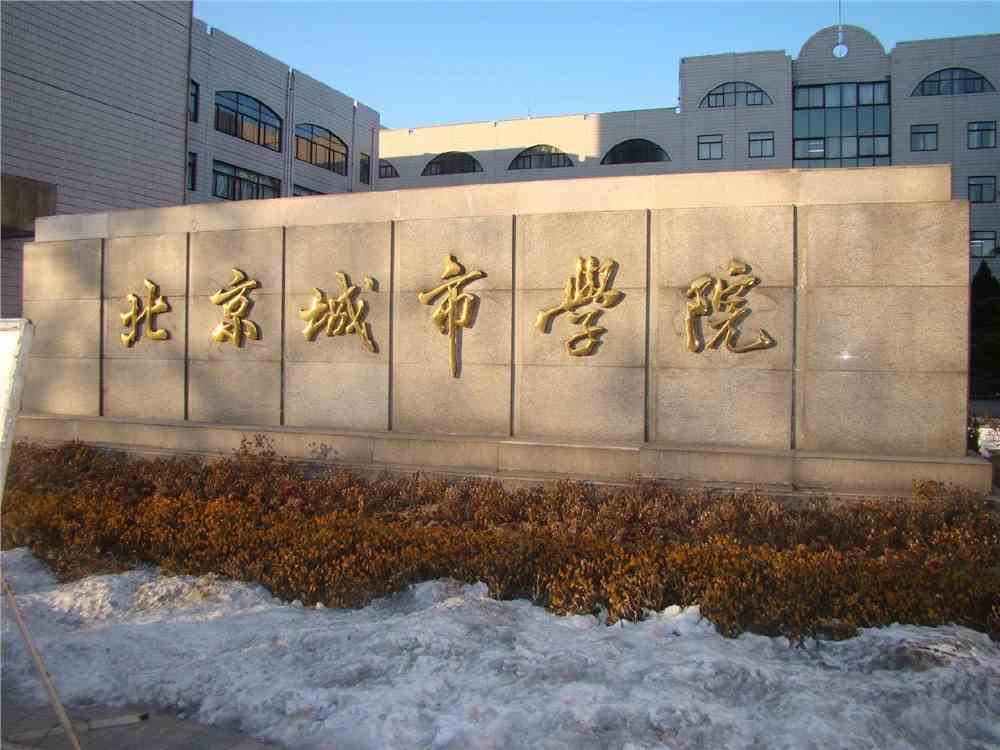 北京城市学院新高考选科要求附高中生必选科目