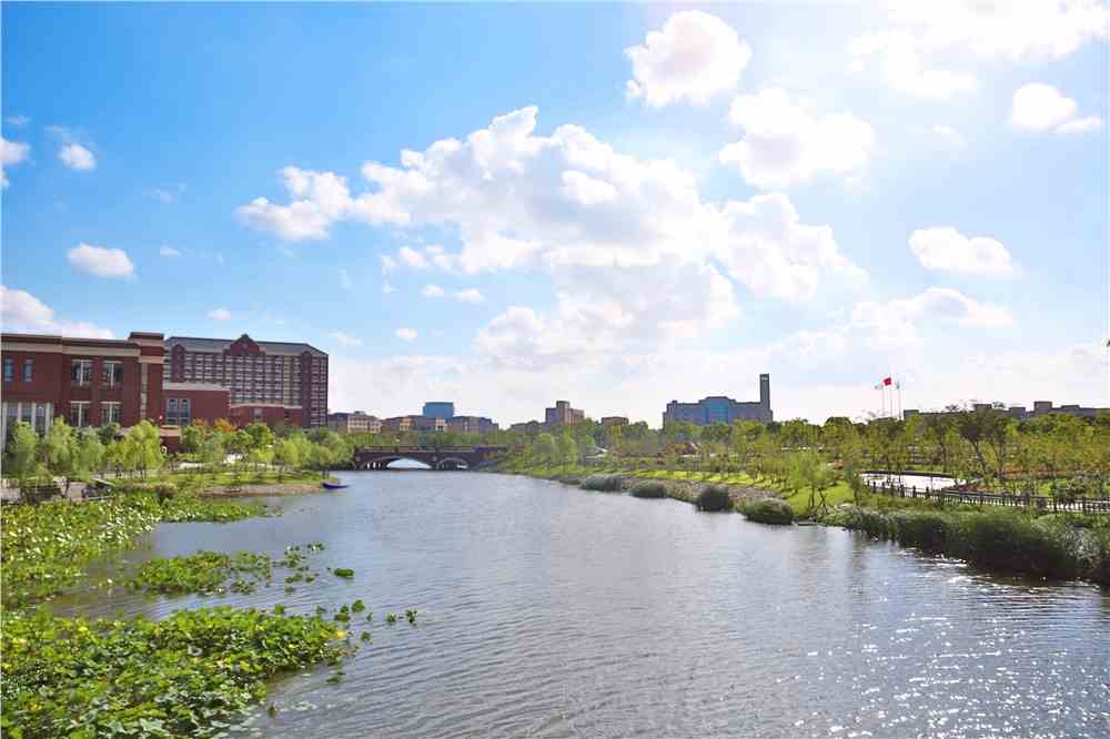 上海建桥学院新高考选科要求-上海建桥学院选科对应专业
