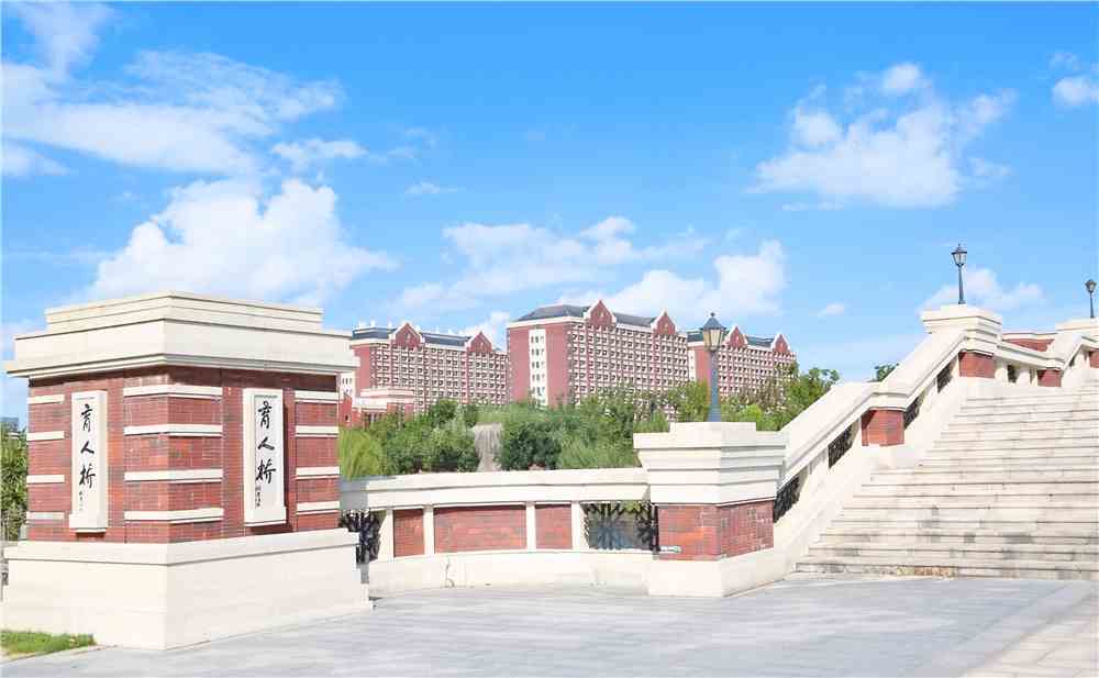 上海建桥学院新高考选科要求-上海建桥学院选科对应专业