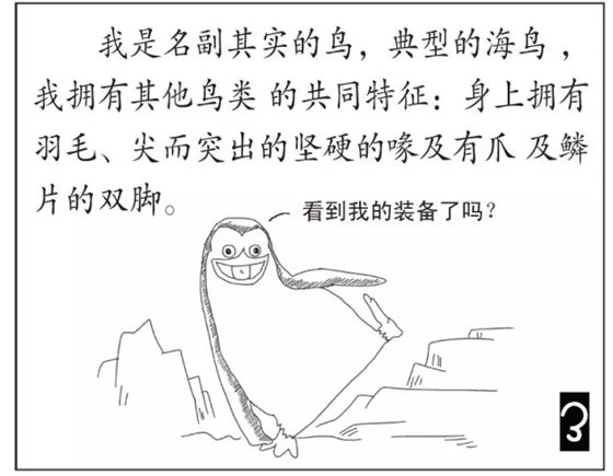 企鹅是鹅吗_企鹅不是鹅的原因