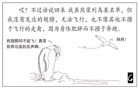 企鹅是鹅吗_企鹅不是鹅的原因