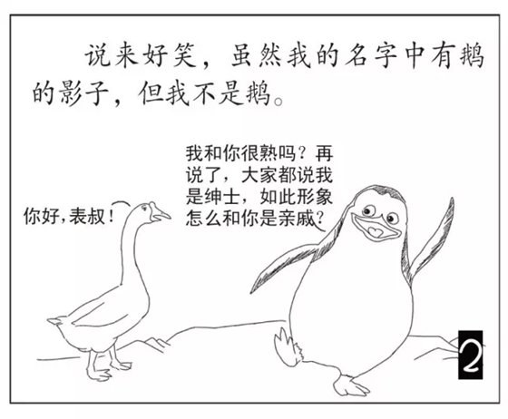 企鹅是鹅吗_企鹅不是鹅的原因