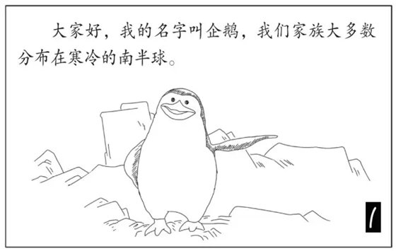 企鹅是鹅吗_企鹅不是鹅的原因