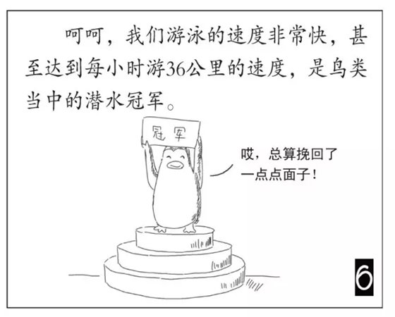 企鹅是鹅吗_企鹅不是鹅的原因