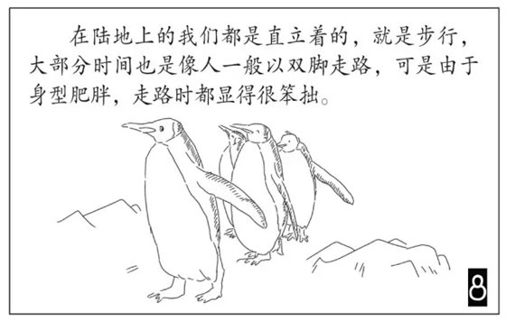 企鹅是鹅吗_企鹅不是鹅的原因