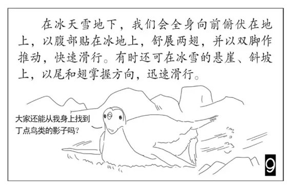 企鹅是鹅吗_企鹅不是鹅的原因