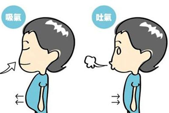 人为什么要用鼻子呼吸用鼻子呼吸的好处