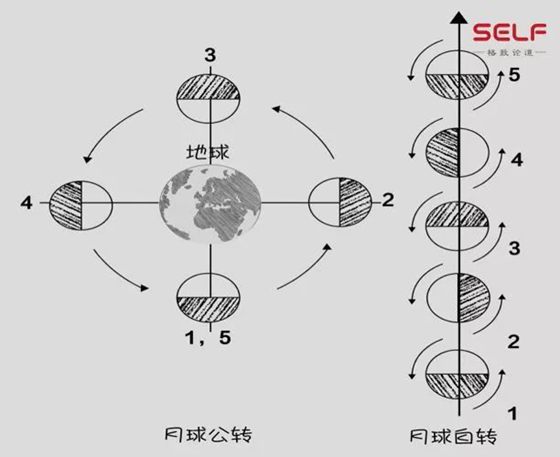 为什么我们只能看到月球的一面_月亮的背面是什么？