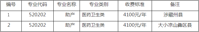 2022年成都职业技术学院“9+3”高职单招招生专业