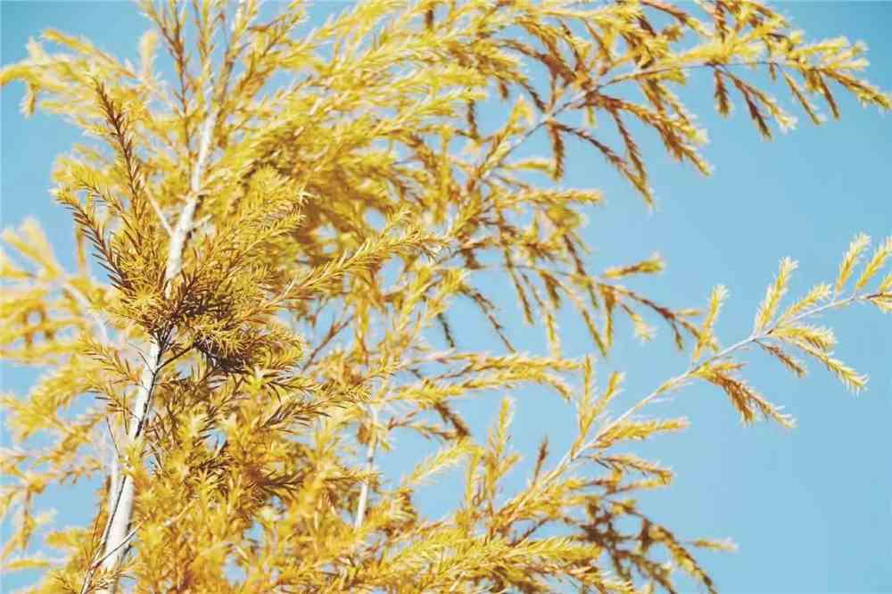 生物赋分容易吗？地理和生物哪个好赋分？