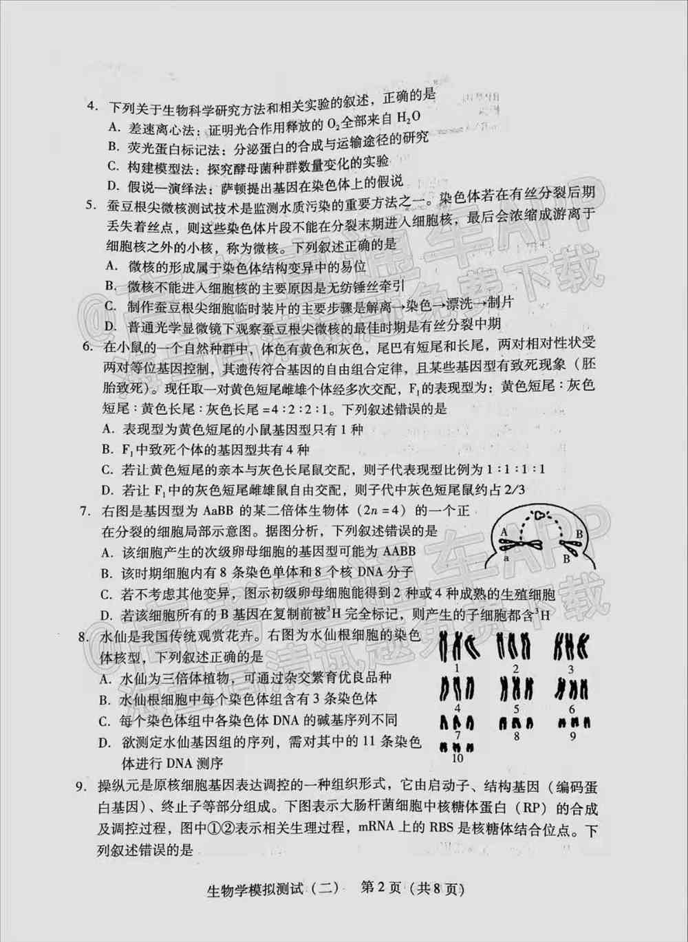 2022年广东二模生物答案及试卷汇总（已更新）
