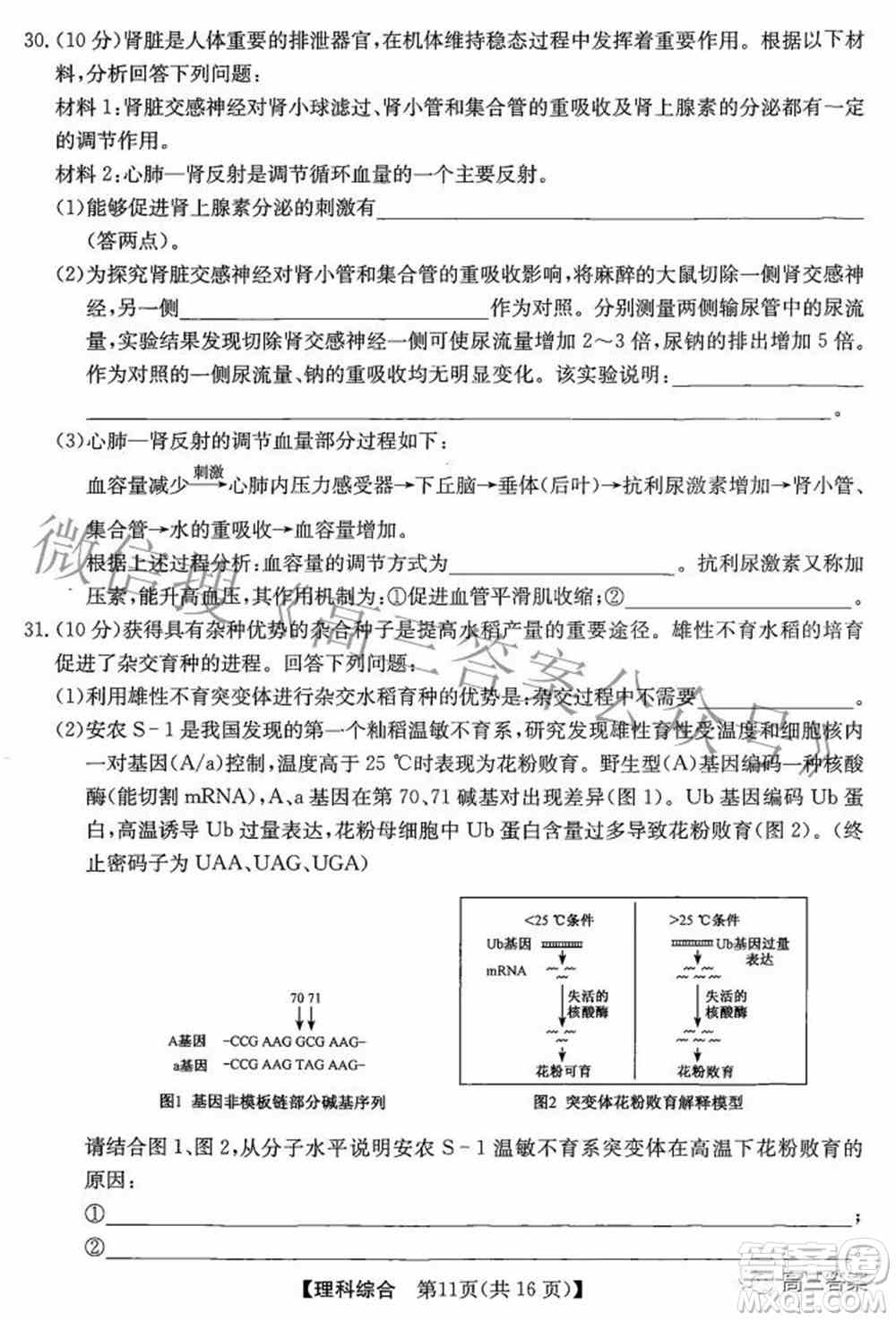 安徽省2022年高考考前适应性考试理科综合试题及答案