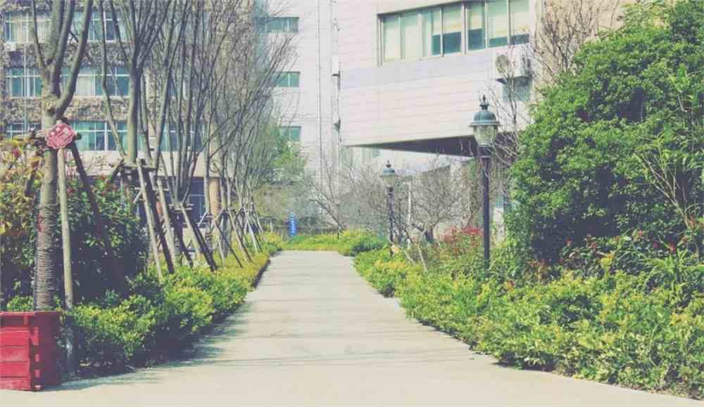 山东外贸职业学院2021年录取分数线是多少?2022高考最低多少分能上?