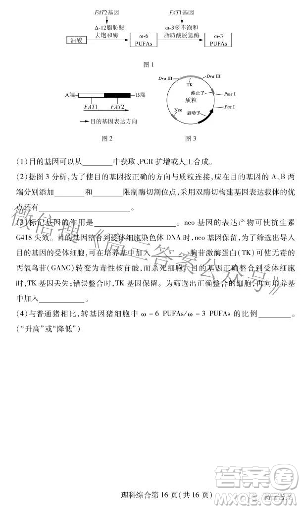 2022年东北三省四市教研联合体高考模拟试卷二理科综合试题及答案