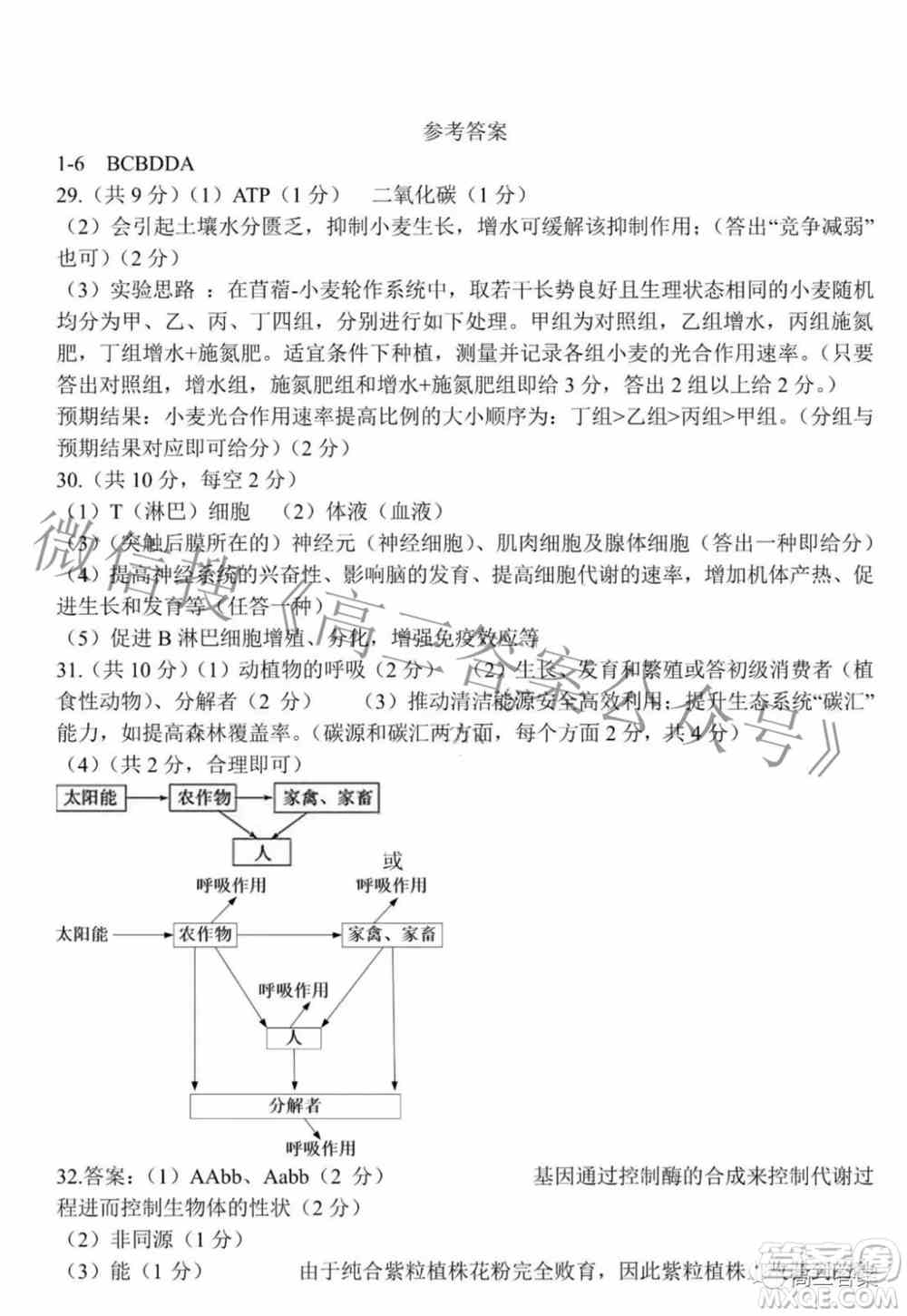 2022年东北三省四市教研联合体高考模拟试卷二理科综合试题及答案