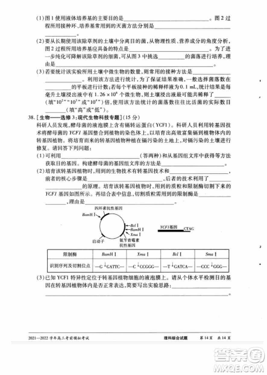 天一大联考2021-2022学年高三考前模拟考试理科综合试题及答案