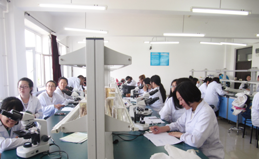 <a href='/zhuanlan/liaoningbk/21/'>辽宁中医药大学</a>杏林学院专业介绍 /制药工程