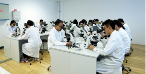 沈阳药科大学4个专业获批2021年度国家级一流本科专业建设点
