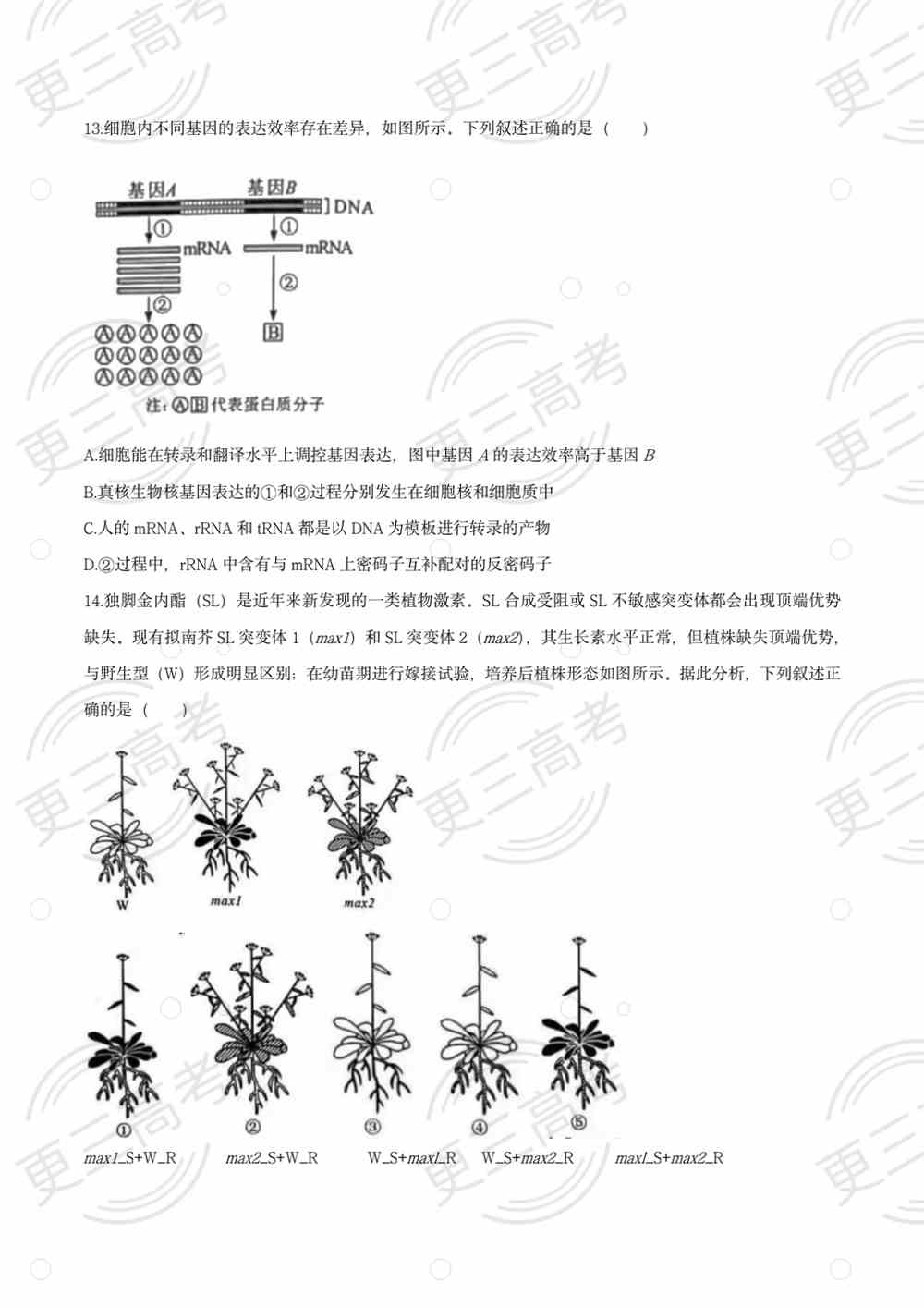 2021高考湖南卷生物试题｜高考湖南卷生物真题下载