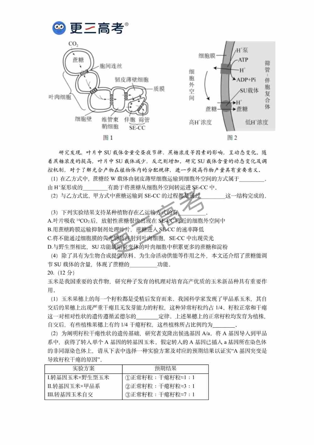 2021年高考北京卷生物真题｜北京2021高考生物试卷下载