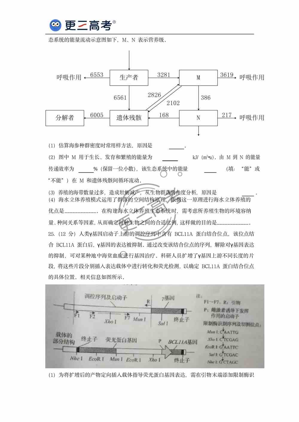 2021年山东高考生物真题｜山东2021年高考生物真题下载