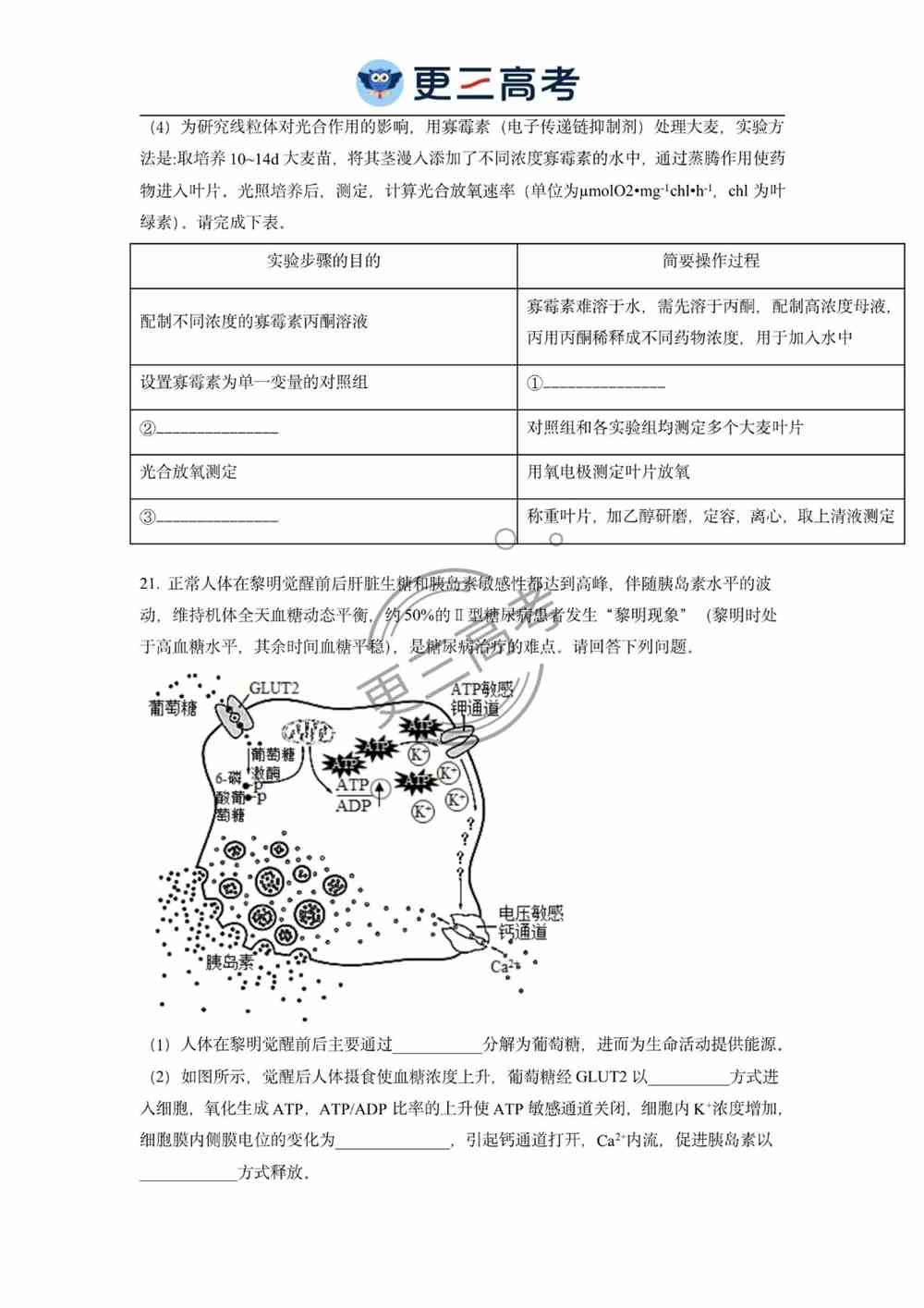 2021年江苏高考生物试卷｜江苏2021年高考生物试卷真题下载