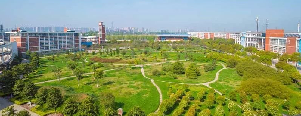 招生网址-洛阳文化旅游职业学院2023年招生网入口