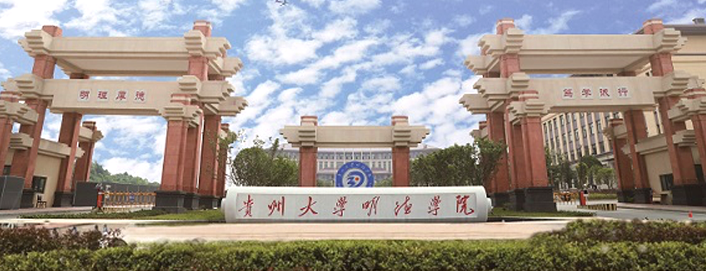2023年金平果大学排名：贵阳信息科技学院排名