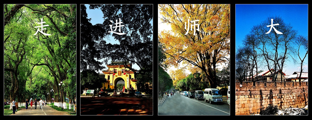 【报名办法】广西师范大学2024年运动训练专业报名方式参考