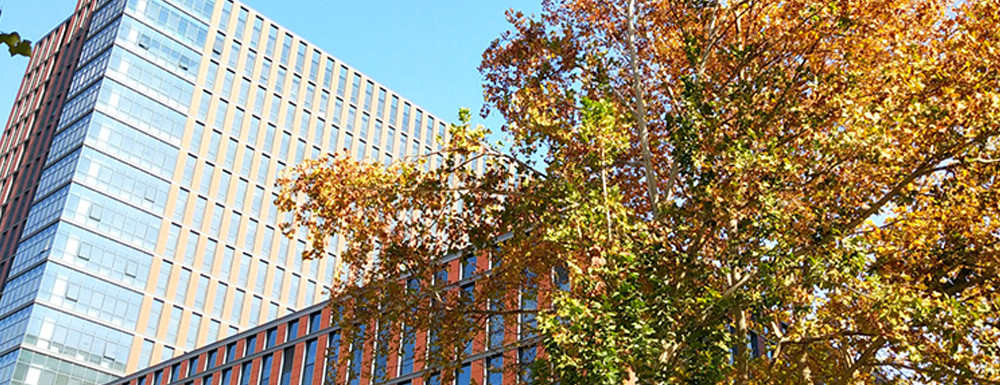 河北医科大学临床学院有几个校区？校区地址在哪里？