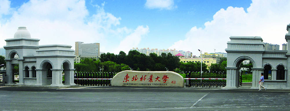 【实力对比】成都理工大学和东北林业大学哪所大学更强？